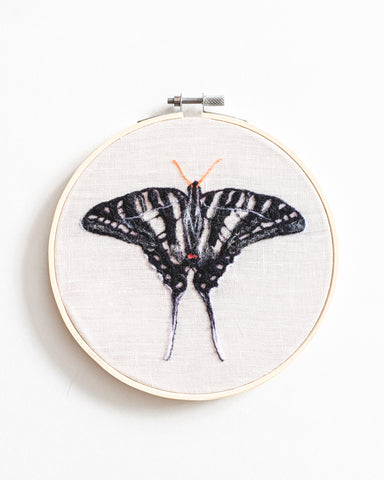 Zebra Swallowtail Butterfly no. 1 - Wool Felted Butterfly Original Art - 6 inch hoop