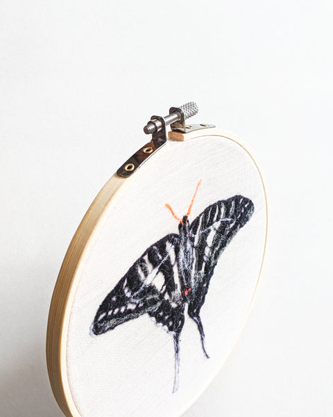 Zebra Swallowtail Butterfly no. 1 - Wool Felted Butterfly Original Art - 6 inch hoop