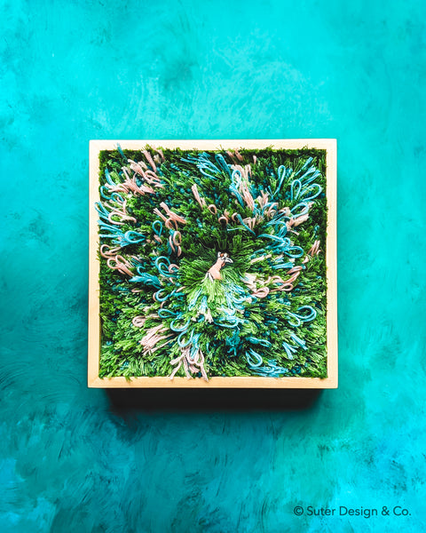 "Blue Heather Dreams" - Botanical Daydream - 6 x 6